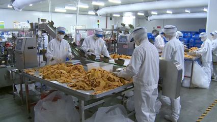 边民互市+落地加工 凭祥口岸经济跃升新能级